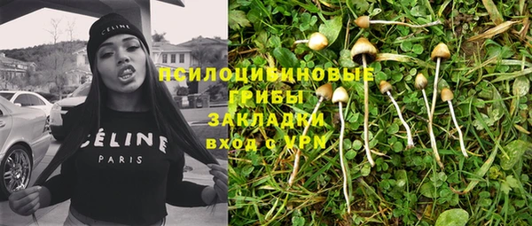 Альфа ПВП Армянск