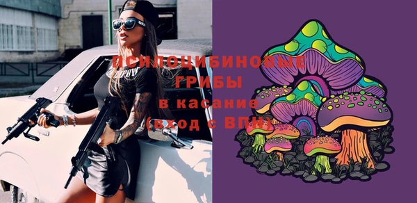 дмт Аркадак